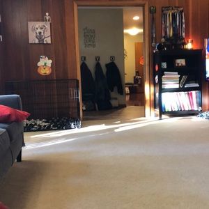 Meet your Posher, Evans